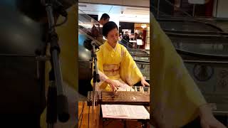 春よ来い 琴ver.