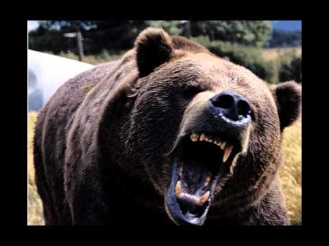 AME Webinar: Building the Fit Organization