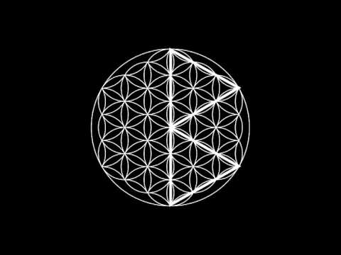 Runes in the Flower of Life