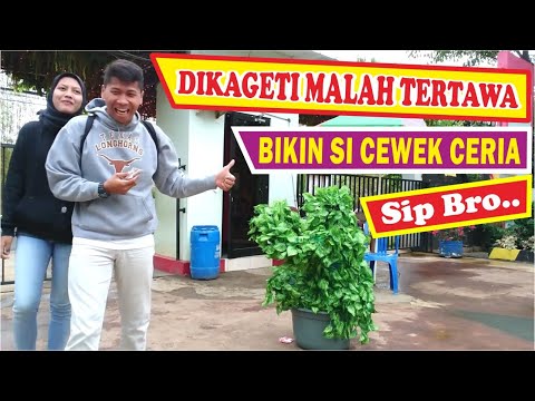 senangnya-kaget-ramai-ramai-bushman-prank-prank-manusia-pohon