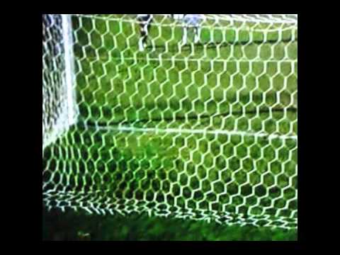 PONTE PRETA 3x0 CRICIÚMA - GOLS - Narração CARLOS BATISTA - 13/08/2011