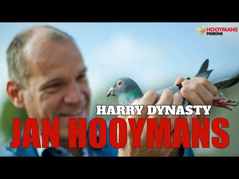 HARRY DYNASTY - JAN HOOYMANS