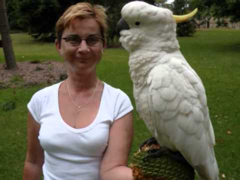 Happy Birthday Jarka