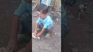 Download lagu Potong Ayam Kurban...😂 #shorts #bocah#iduladha #harirayakurban mp3