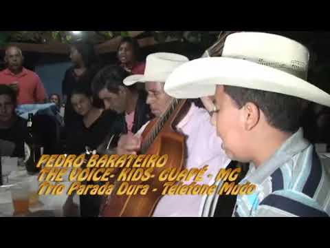 Pedrão cantor , trio parada dura