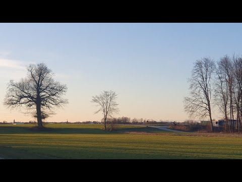 Seine/Ihre nächsten Schritte mit Dir- Alle Sternzeichen (Von Widder bis Fische, alle 12)
