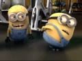 Despicable Me Grusomme Mig 2010 Minions Training Zones