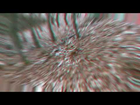 Drevjakt i Polen 2023