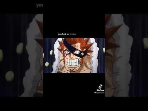 X Drake is at the right side now credits:@roomar #onepiece #wanoarc