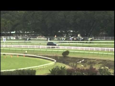 2007 - David Jones AJC Australian Derby - Fiumicino