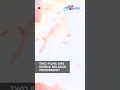 Rashtra Kavach Om Rocketry The Nambi Effect Set For Release Box Office Prediction