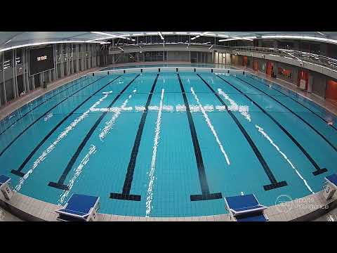 AZC - WIDEX  GZC DONK