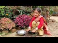 Jatuka Jatuka Ll Assamese Song Ll Jigyasa Lahon Video ️