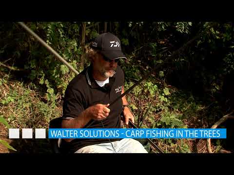 Walter solutions – Carp fishing in the trees