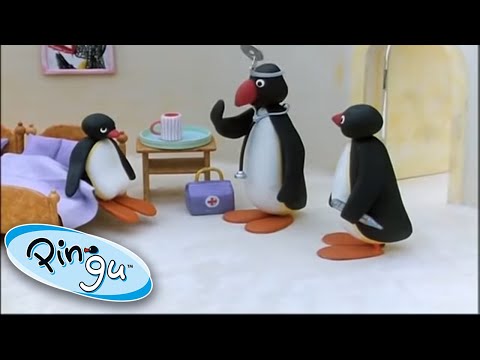 Pingu And The Doctor! @Pingu | 1 Hour | Cartoons for Kids - Kids (0-4), Kingdom Kids Zone - Pingu - Official Channel