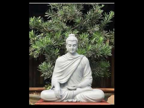 Lạy Phật từ bi Sheet - Vân Trang