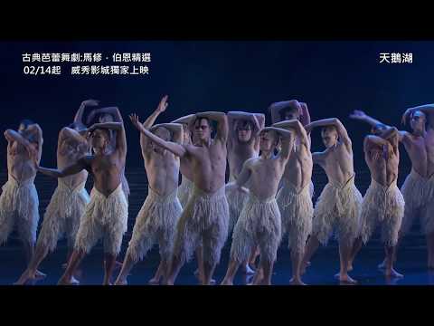 【古典芭蕾舞劇：天鵝湖】馬修‧伯恩精選