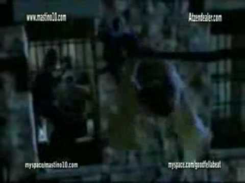 mastino 10 prison break