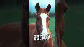 【競馬あるある】なぁぜなぁぜ？①　#shorts