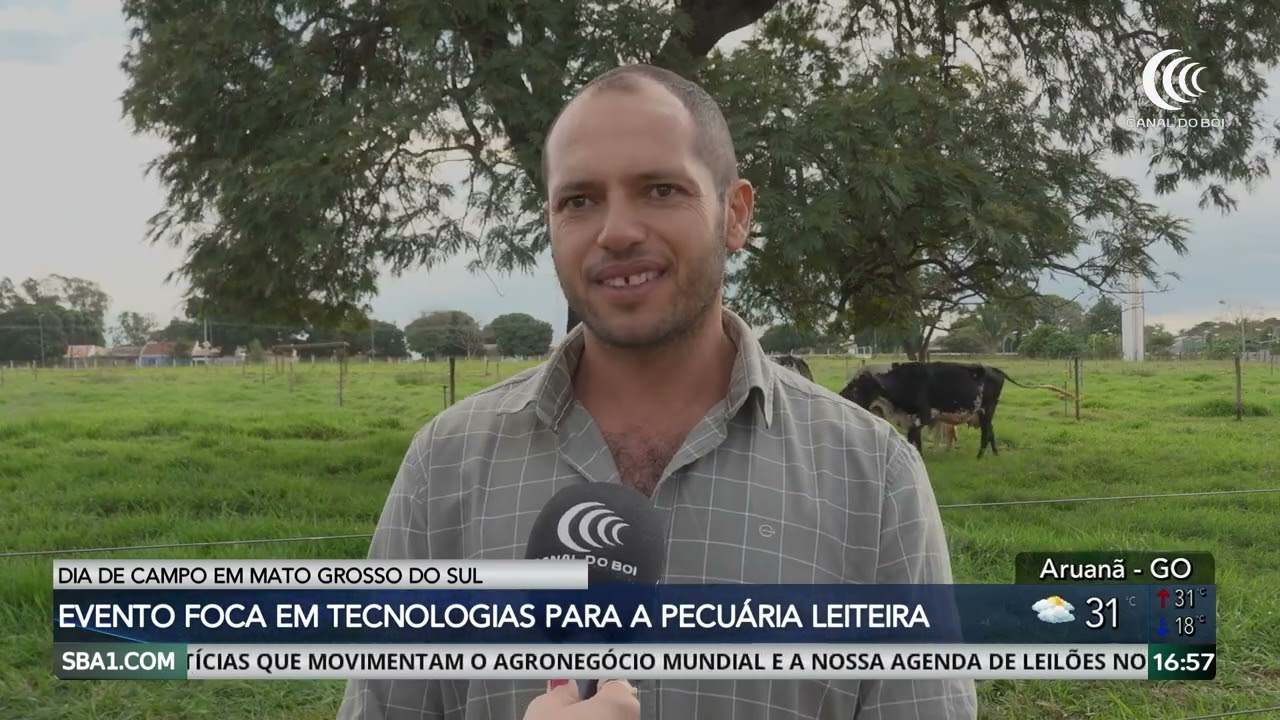 Dia de campo foca em tecnologias para a pecuária leiteira em MS