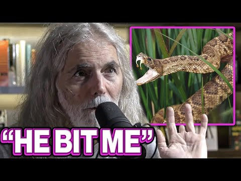 Revealing the Crucial Secret to Surviving Venomous Snake Bites | Manny Puig