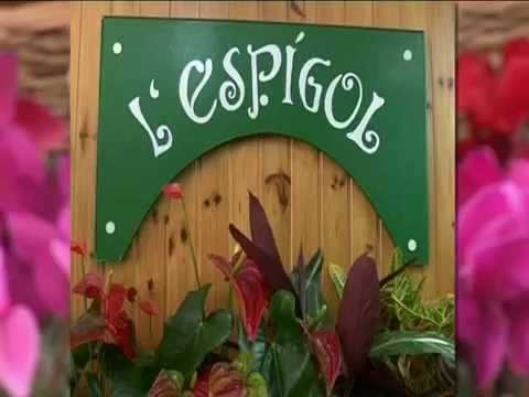 L'Espígol Floristería