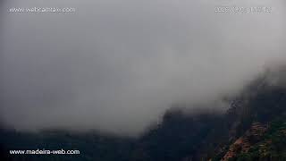 LIVE: Madalena do Mar Webcam - Bar La Fronteira | Banana Plantations, Webcamtaxi live webcam