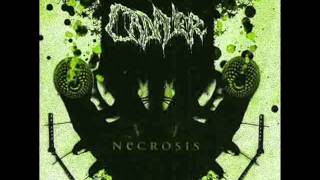 CADAVER - Odium