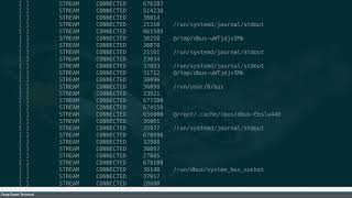 iproute2 & net-tool |  Команды ss и netstat
