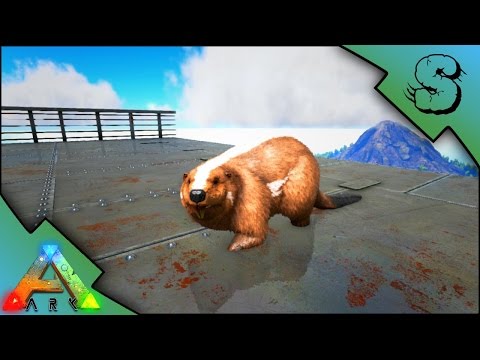 INTERACTIVE RAISING A BEAVER! | ULTIMATE IMPRINTED BEAVER! | Ark: Survival Evolved [S2E49]