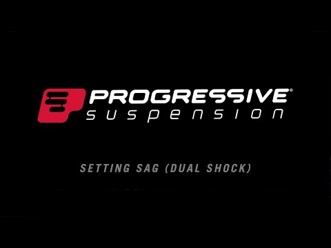 Setting Sag - Dual Shock Applications