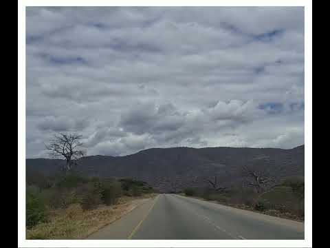 Transcargo - Together on the road to success