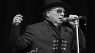 Some Peace of Mine Van Morrison Live