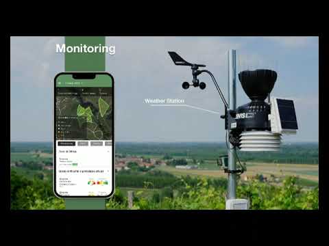 Marco Bezzi - Universit� degli Studi di Trento