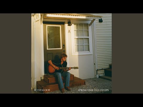 Springtime Red Tulips