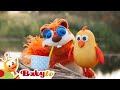Sleep Time Relaxing Bedtime Videos For Babies Toddlers BabyTV
