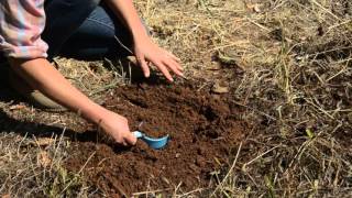How to Collect a Soil Sample for Lab Analysis
