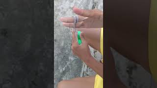 how to play lato-lato step by step|trending lato-lato #shorts #latolato #howtoplay #viral #trending