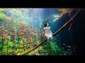 Vangelis - Siren's Whispering (HCP: El Susurro de la Sirena) Oceanic Album HD&HQ