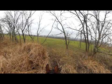 Marhaterelési szakszótár