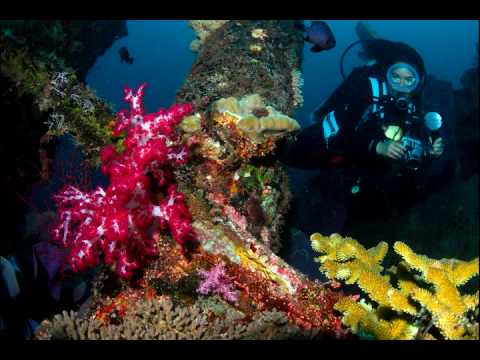 Solomon Islands Part 1/3 - Alcides Falanghe