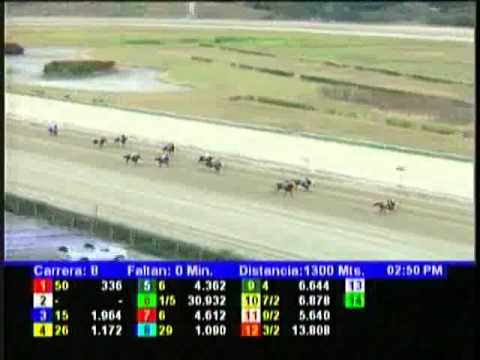 Resumen Domingo, 10 de Febrero de 2013 - La Rinconada