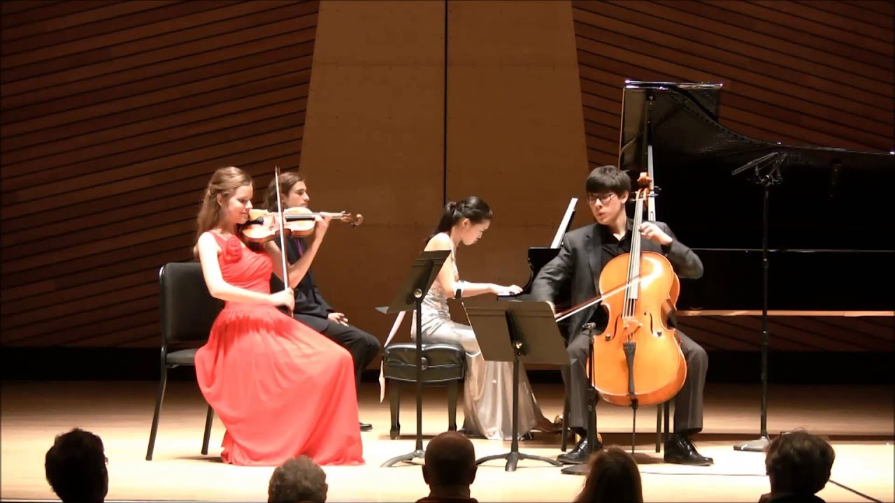Smetana - Piano Trio in G minor, op. 15,  I. Mvt.