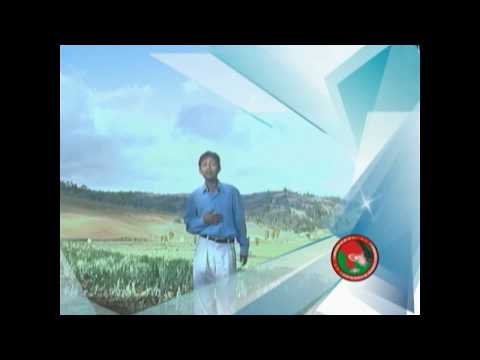 SERRANITO DEL ILUCAN - TU INDIFERENCIA