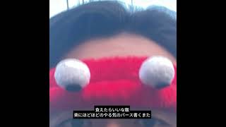 Yoshitomi Kaito - 8622 (Lyric Video)