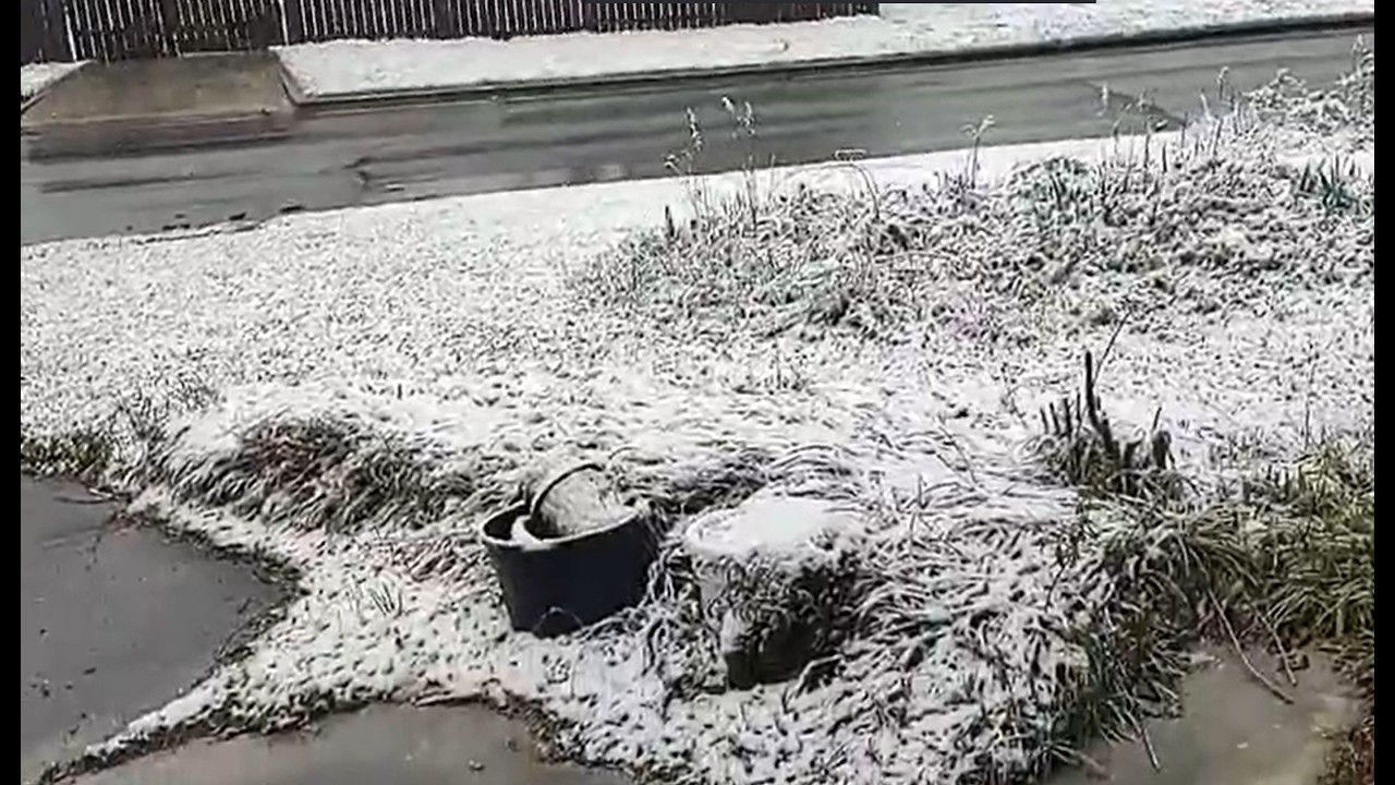 Thumbnail for Star Alabama Snow Report