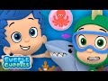 What Type Of Animal Is Zooli S New Pet Ocean Animals Music Video Bubble Guppies