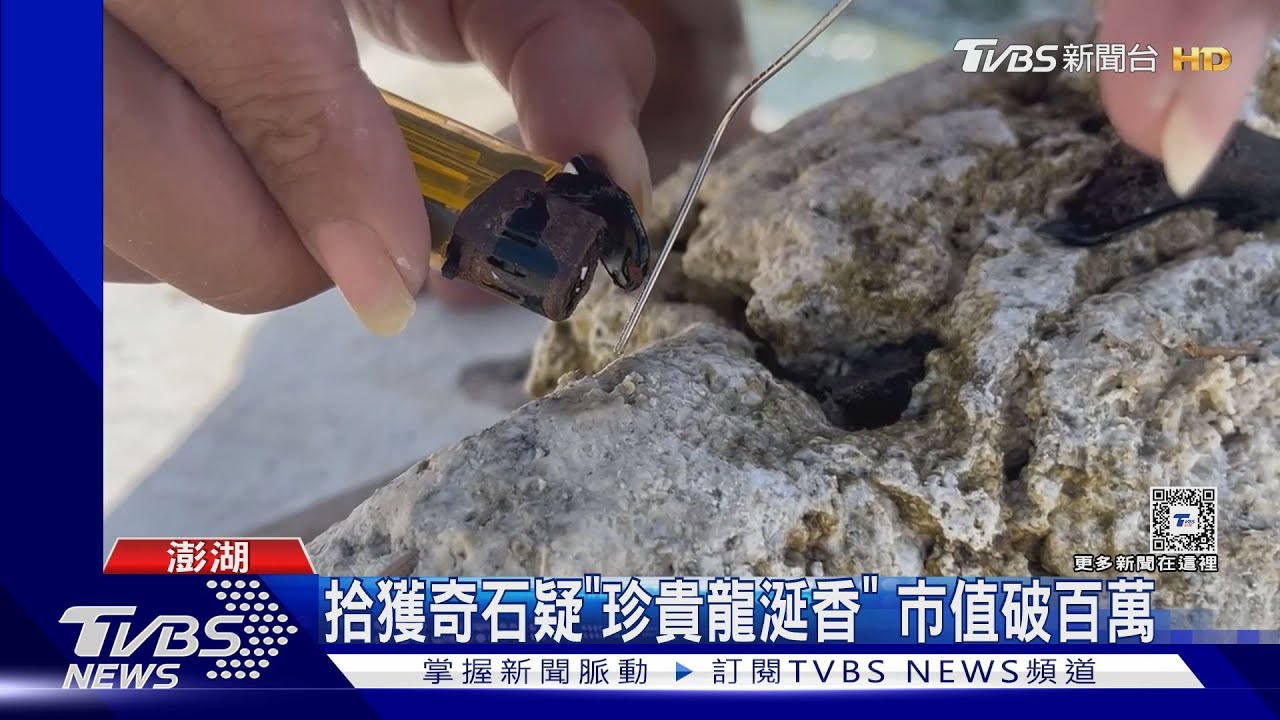 拾獲奇石疑「珍貴龍涎香」　市值破百萬