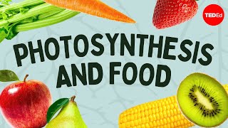 The simple story of photosynthesis and food - Amanda Ooten