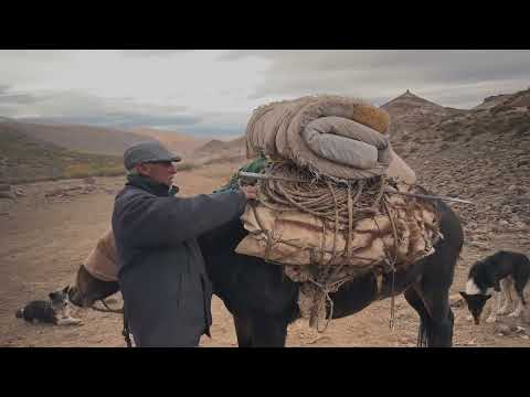 Feliz cumple Manzano Amargo 🙌🏽